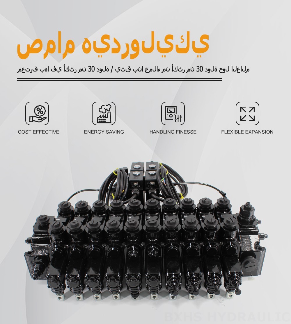 DCV150-10-NPT يدوي وكهروهيدروليكي الصمام 10 صمام اتجاهي قطاع